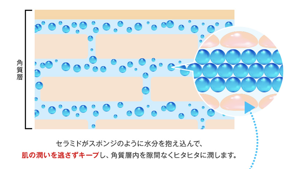 【ZIGENフェイスジェル】効果や使用感、使い方から口コミ、おトクに買う方法まで徹底まとめ